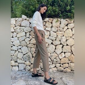 Aritzia/The Group Babaton Jimmy Pant Brown XXS